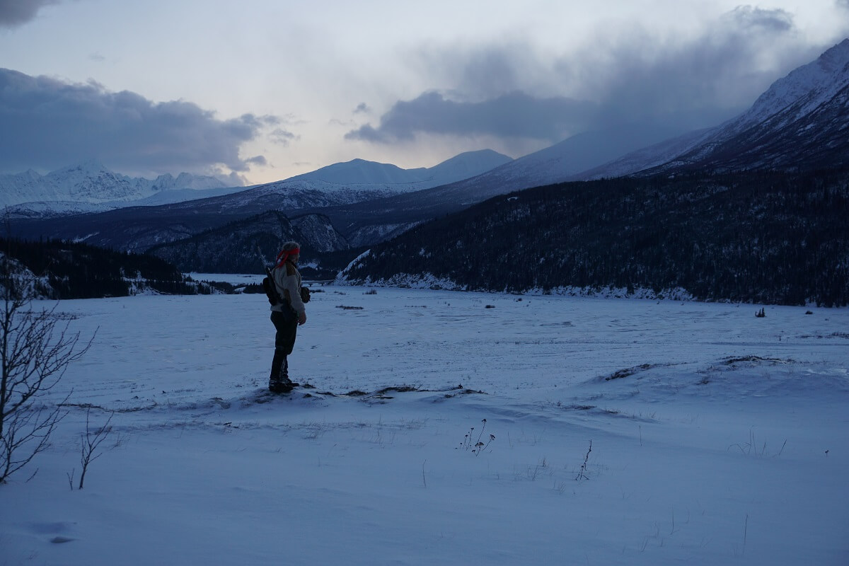 Last Frontier Bison: Hunting Alaska's Largest Land Mammal