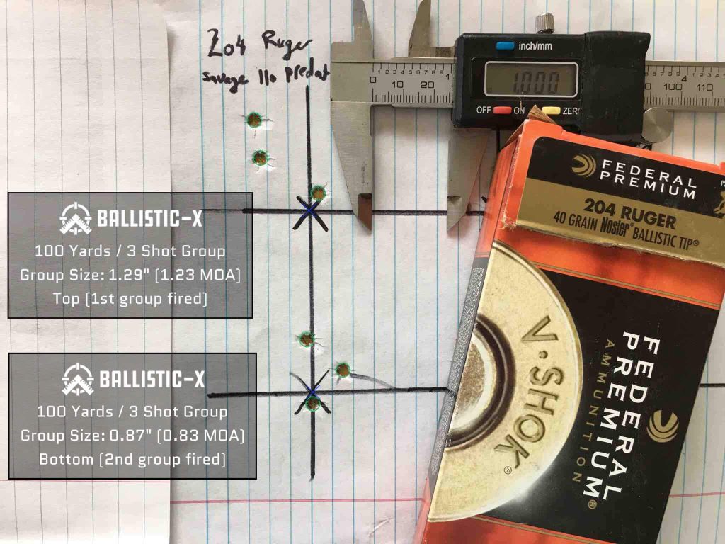 Testing the Savage 110 Predator: The Perfect Rock Chuck Gun