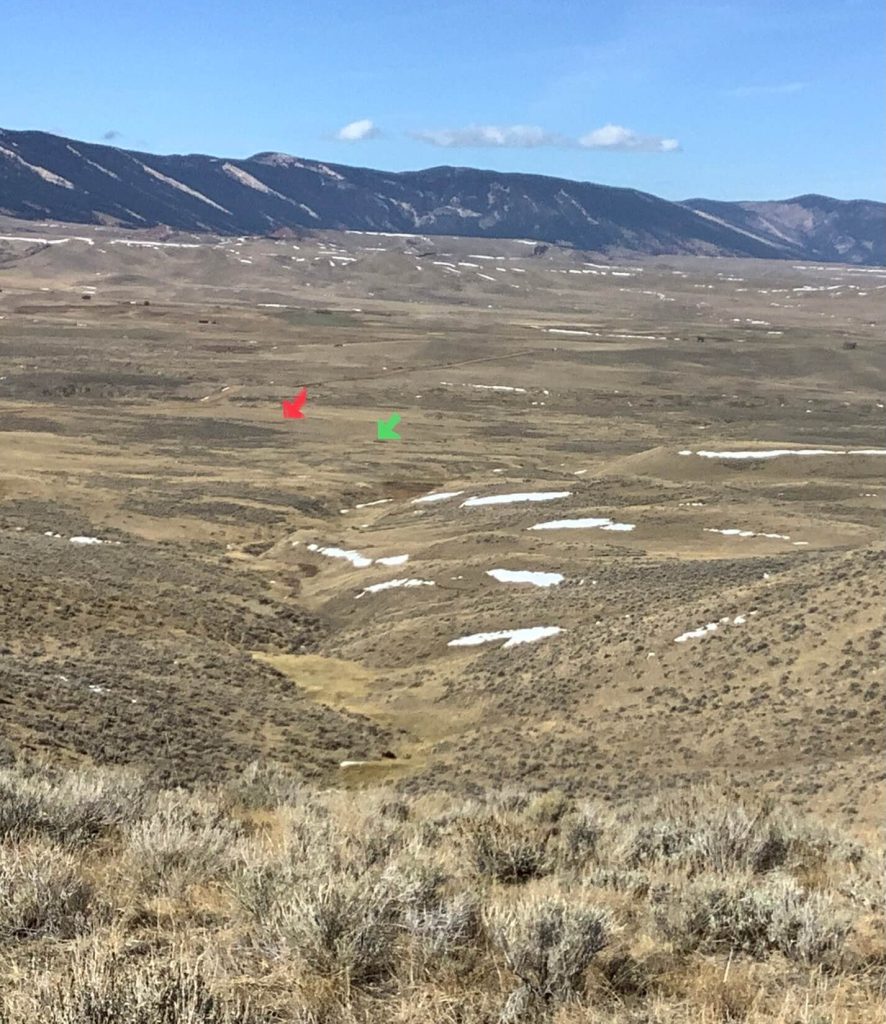 Wyoming Handgun Antelope