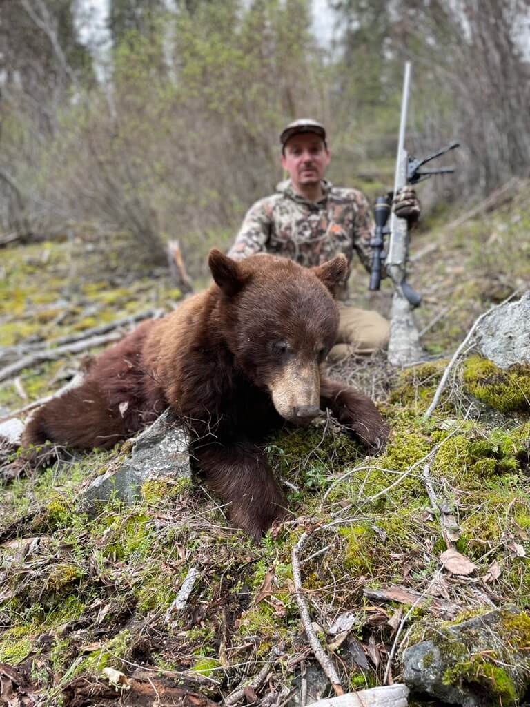 5 Spot & Stalk Bears in 5 Days! Spring Bear Adventures