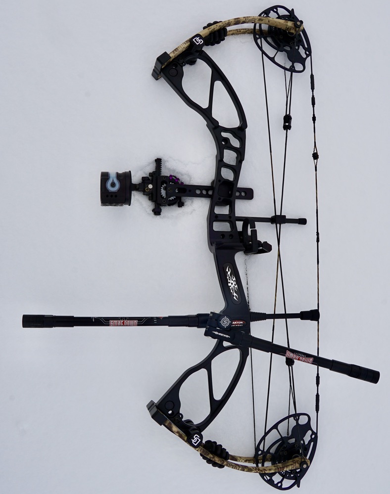 Bow Review: The Darton Spectra E