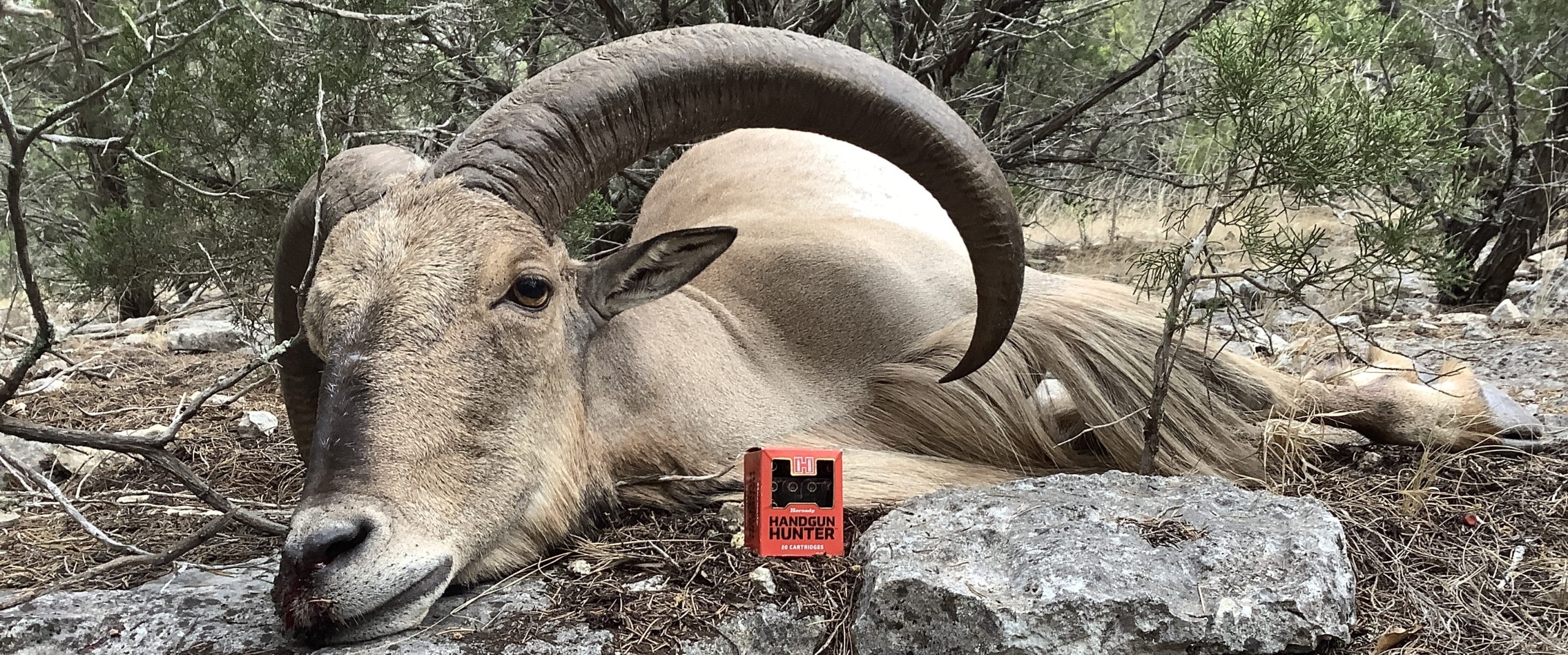 Review: Hornady Handgun Hunter Ammunition