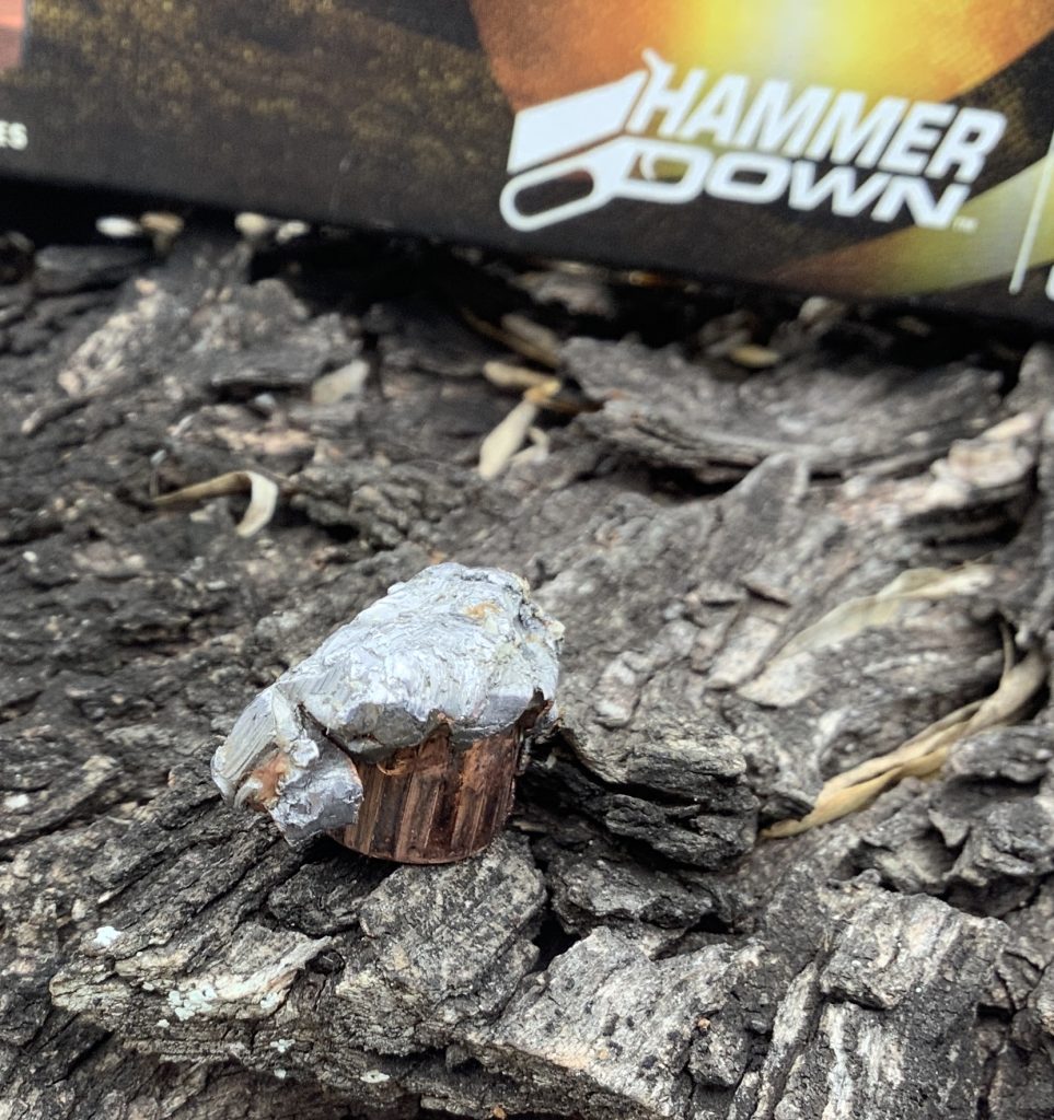 Review - Federal HammerDown ammunition