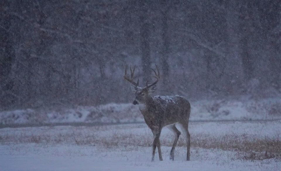 Missouri Clarifies Hunting Equipment Regulations, Clears AR Pistols, Atlatls