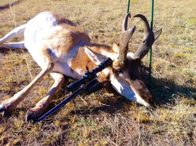 Wyoming Handgun Antelope