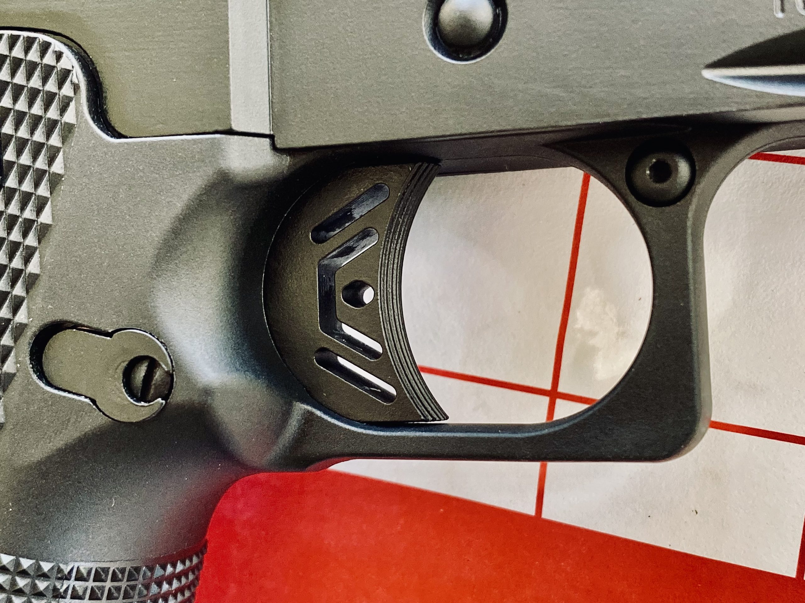 skeletonized trigger on EAA Hunter 10