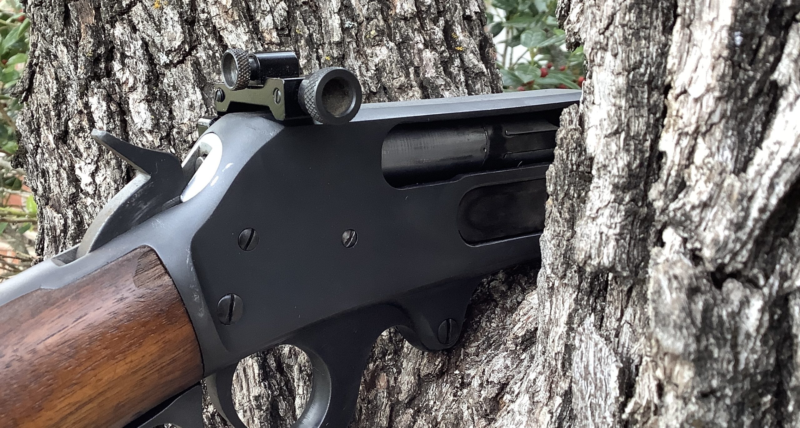 The Big Bore Levergun in 50 Alaskan