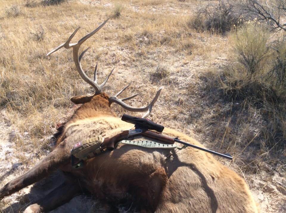 DIY Colorado Elk: My Experience