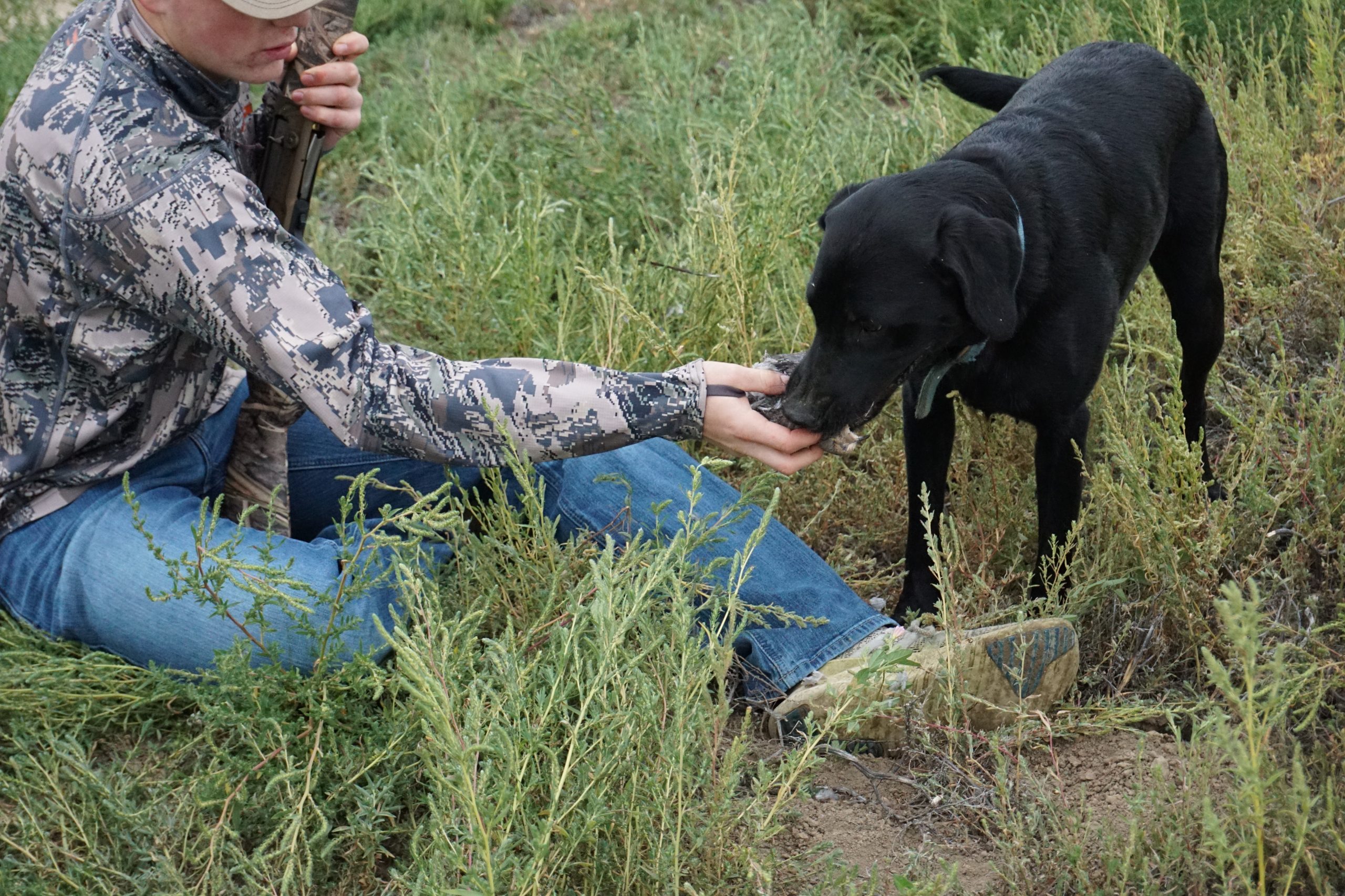 Tested: Browning A5 Wicked Wing Sweet Sixteen