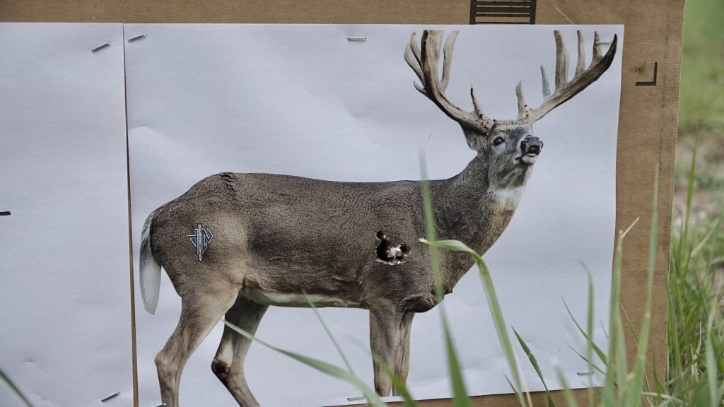 Whitetail deer image pasted to box for target practice.