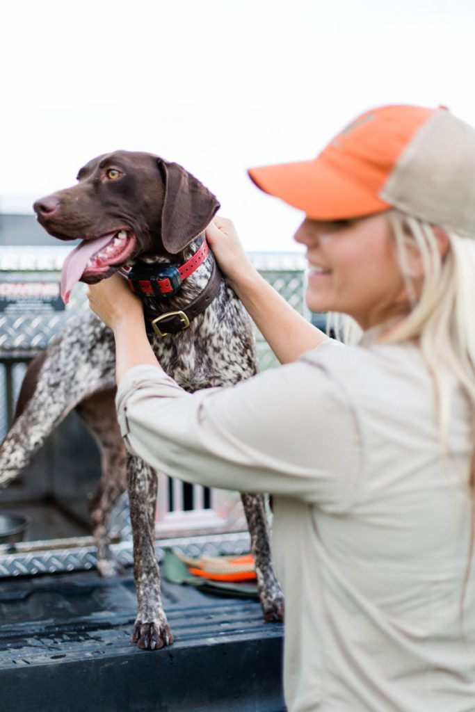 Hunt Dog Training – Getting Back to Basics