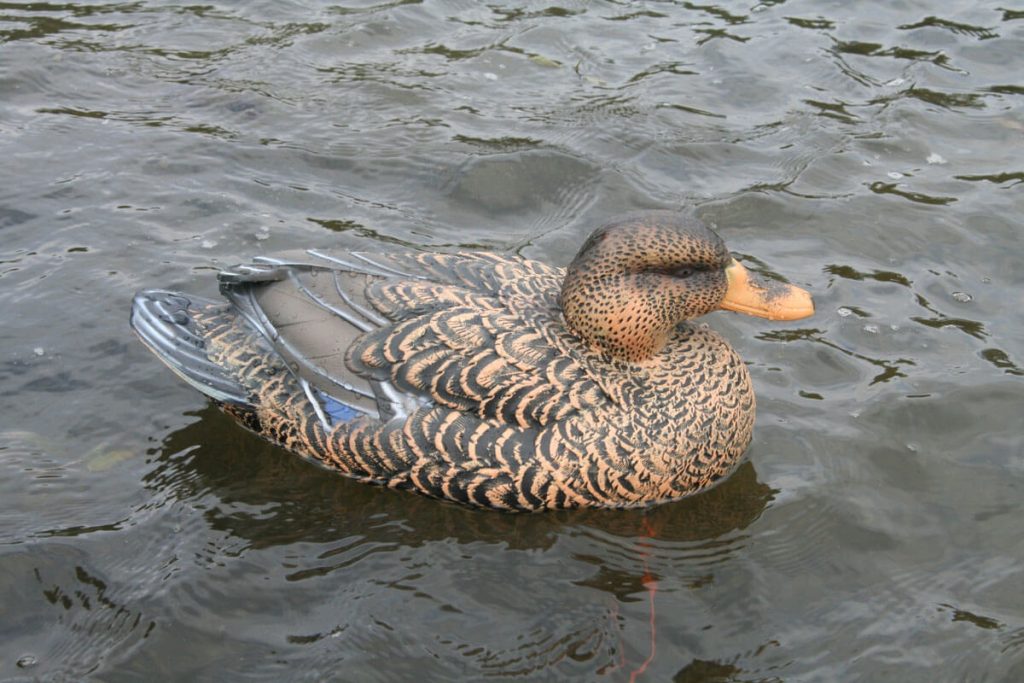 Lifetime Decoys FlexFloat Decoys