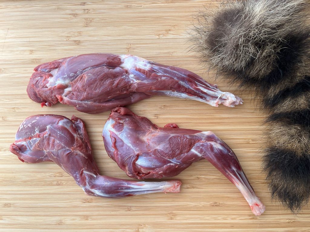 Simple Gourmet: Hunting & Eating Desert Raccoons