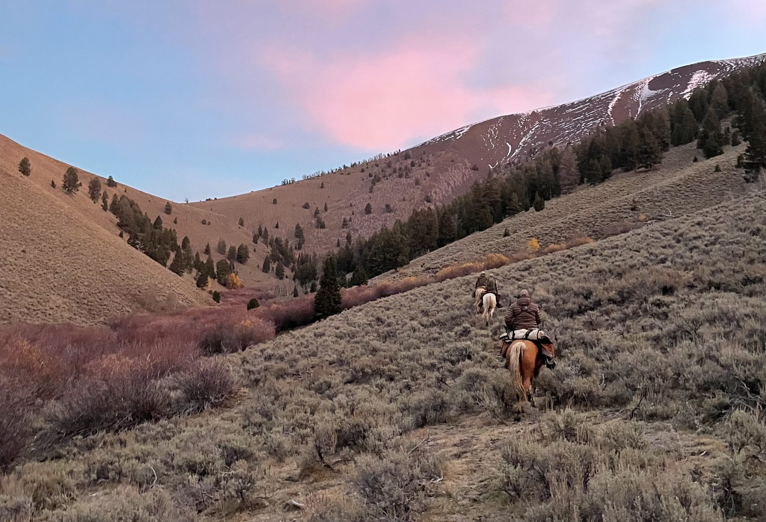 Hunters ride on horseback up a creek bottom in a narrow canyon.