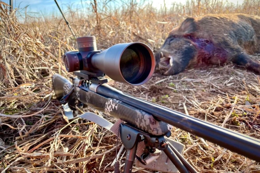 Vortex Razor HD Gen III 6-36X56 sitting on a Weatherby Mark V set in front of a big boar that I shot