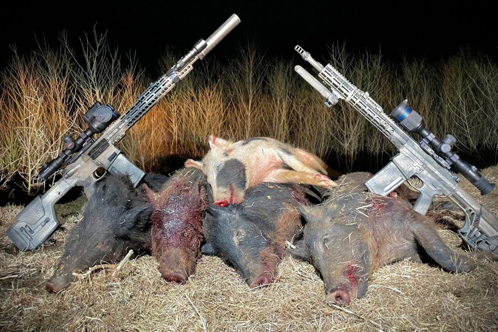 Here's What I Wish I Had The First Time I Went Hog Hunting