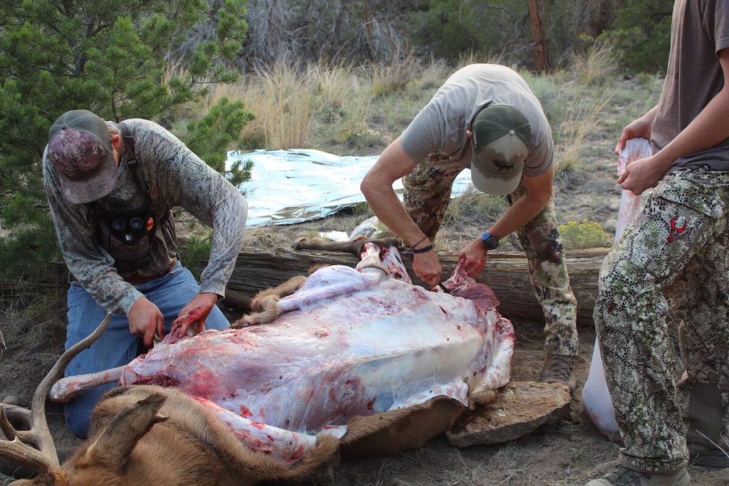 Hunters in the backcountry skinning their elk