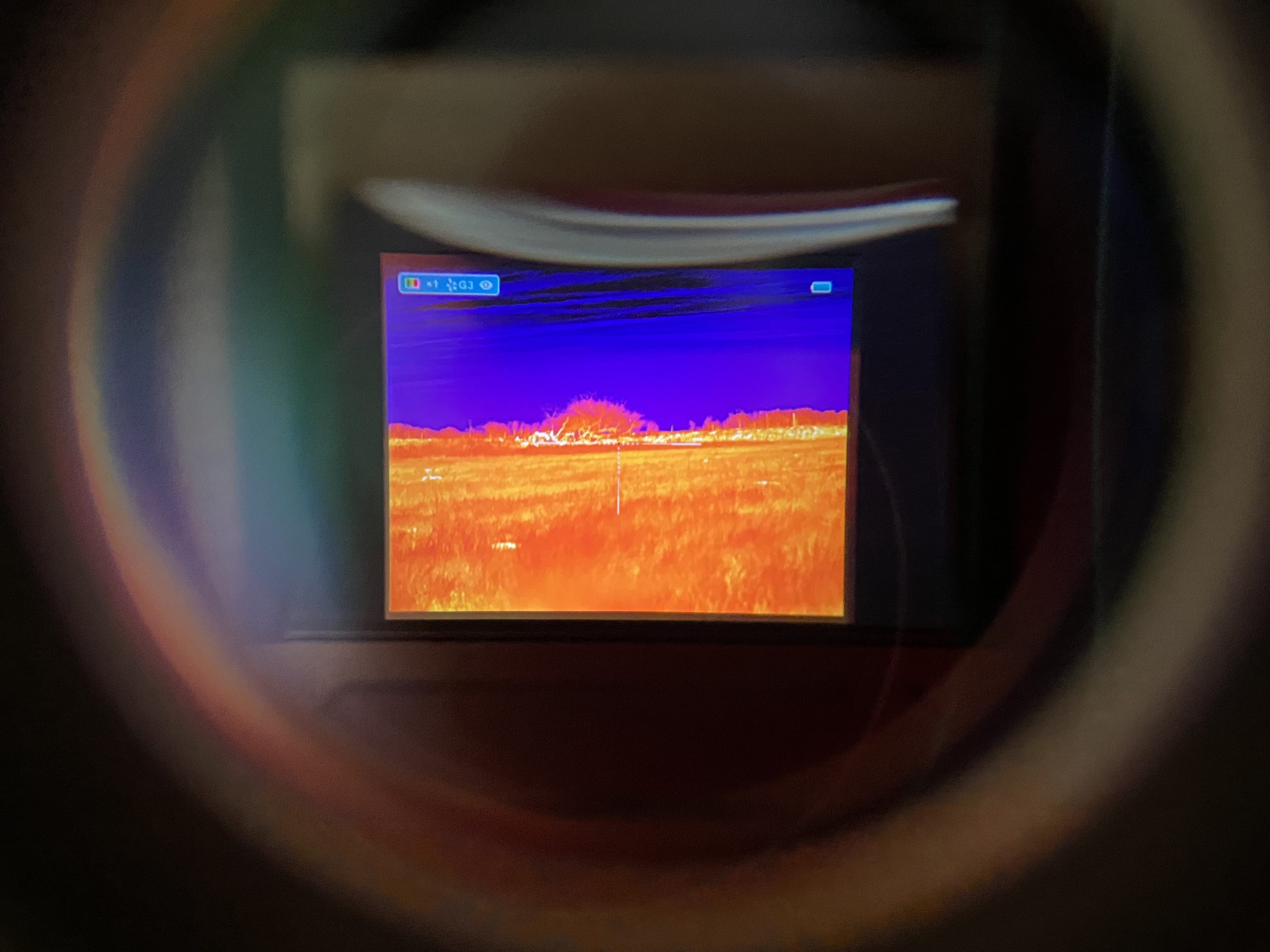 Thermal Review: Bering Optics R-35 vs Hogster Stimulus