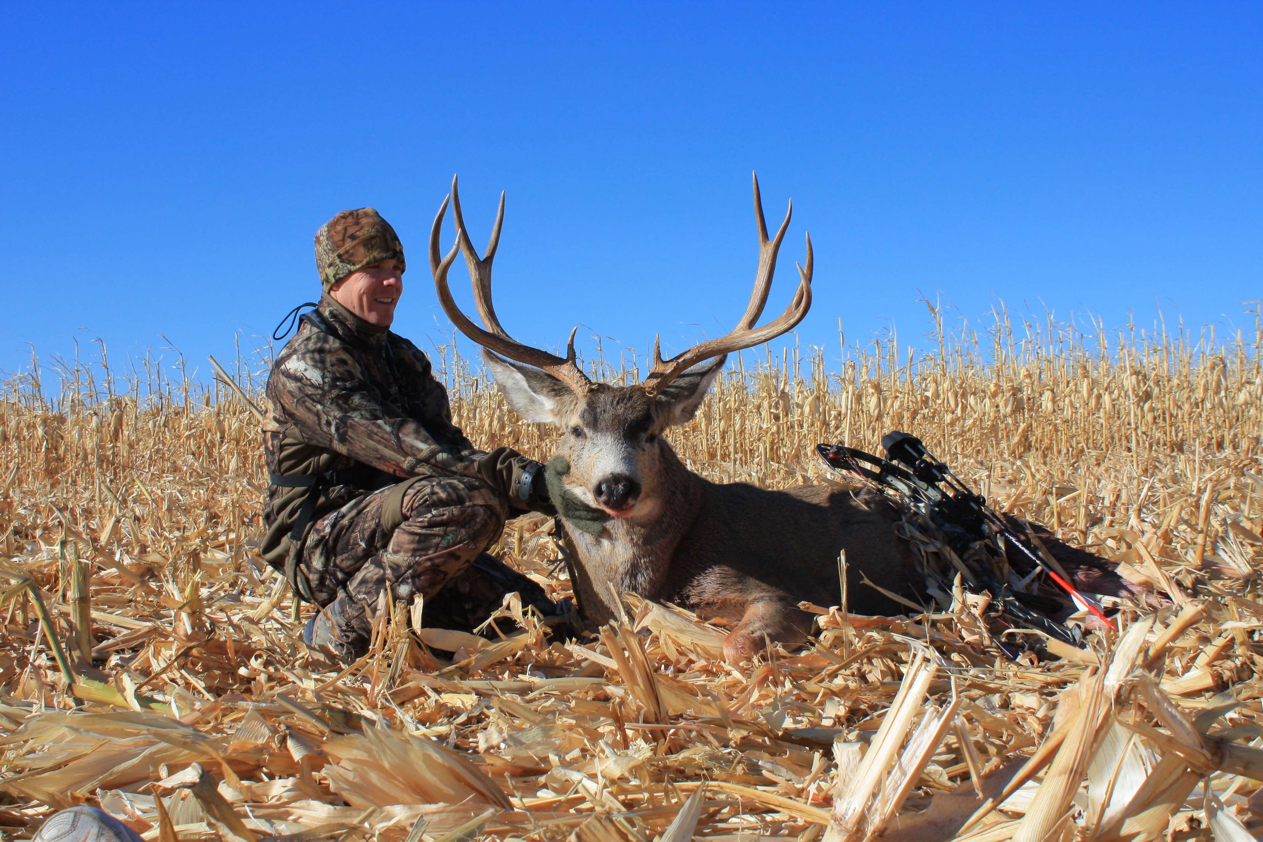 November Mulies? Yes, Please!