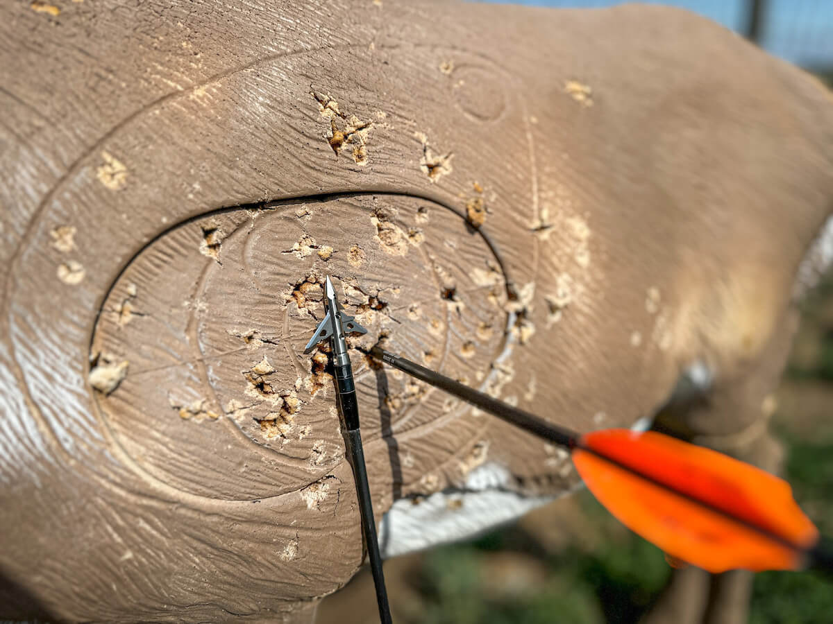 SEVR Ti 1.5 arrow blade in bowhunting target