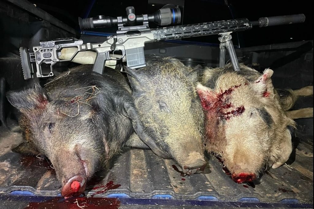 Stacking more pigs with the Christensen Arms MPR topped with the Pulsar Thermion 2 XP50 Pro