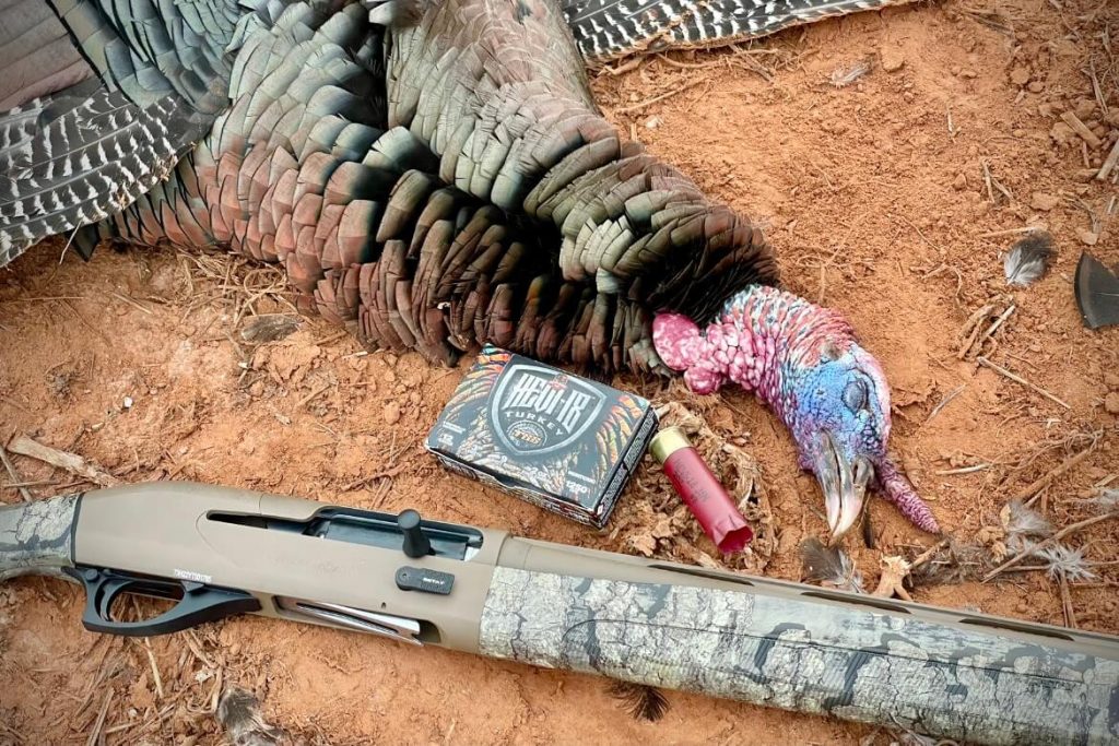 Retay Masai Mara sitting next to a beautiful turkey I was able to take using 3" HEVI-18™ TSS Turkey loads