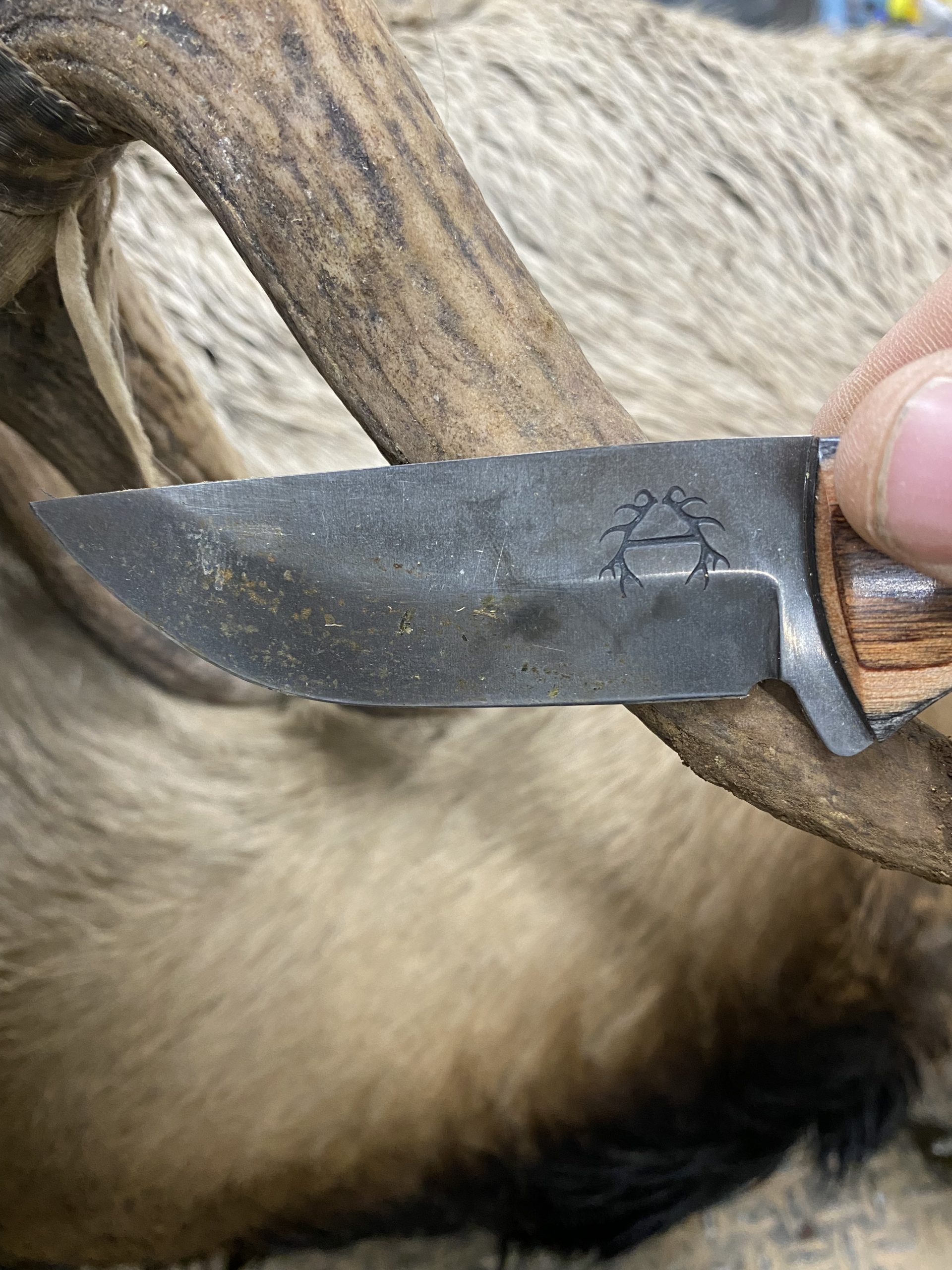 The Detailed Guide to Hunting Knives