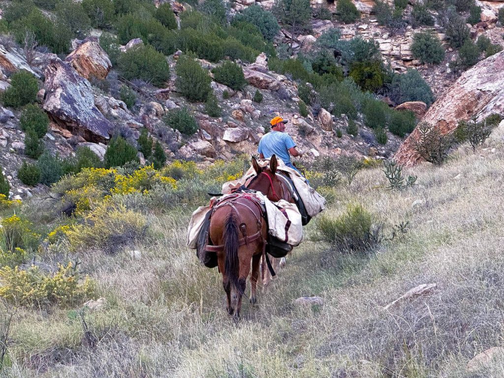 Hunter with horses going through ravine