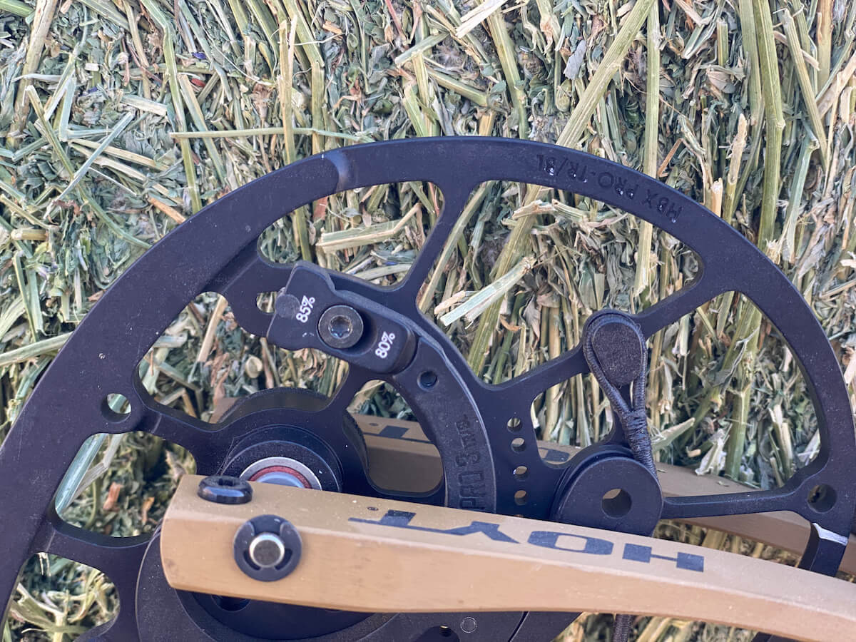 Tried-and-True: Hoyt VTM 31