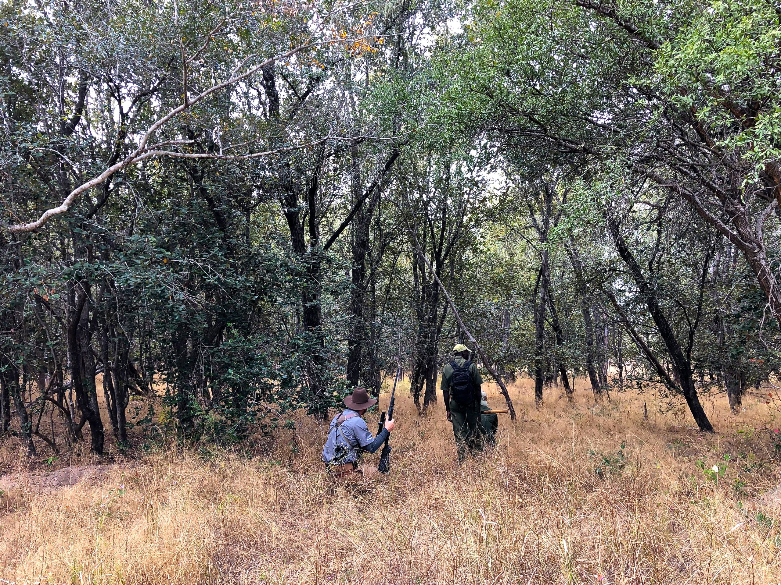 Hunters track buffalo through the Sandvelt