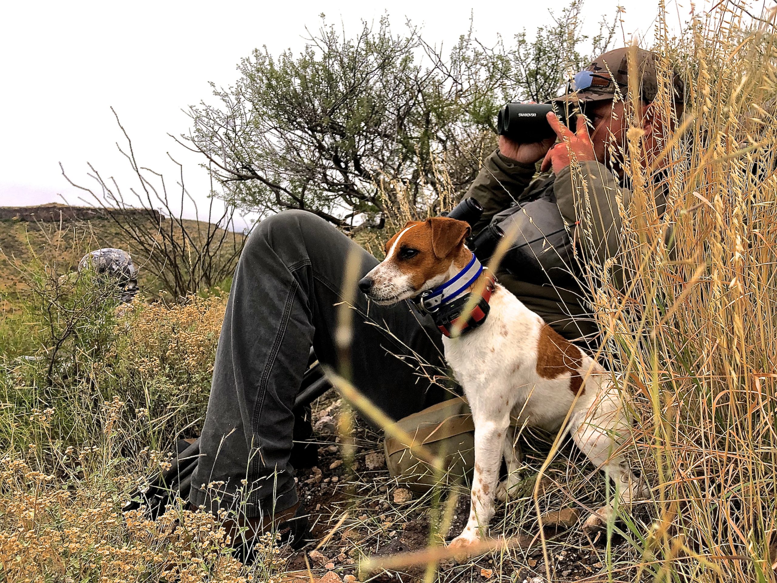 TAKE THE SHOT: AOUDAD FOR TWO