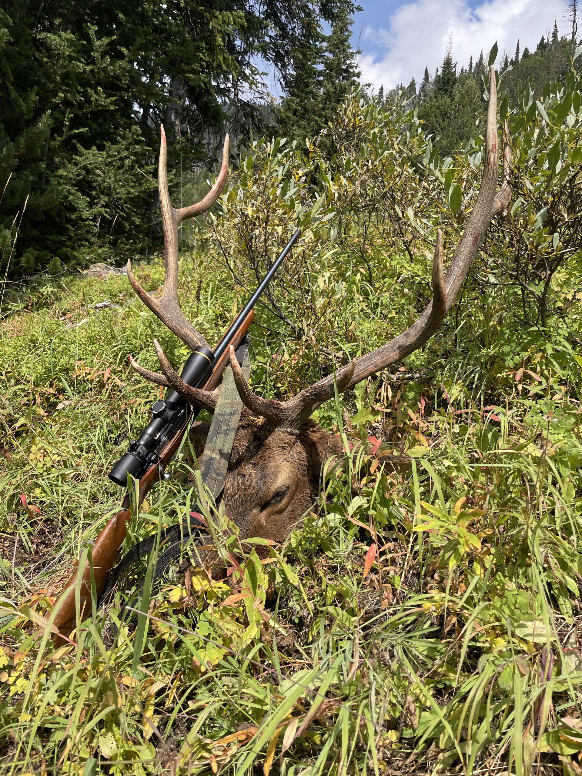 Take the Shot? An Experienced Hunter Gets a Close Opportunity at a Good Bull Elk, but the Vitals are Covered and His Shooting Position is Unsupported. Will He Take the Shot? - Presented by Badlands