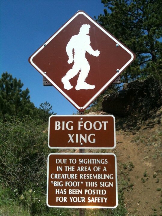 Oklahoma State Legislator Proposes Official Bigfoot Hunting Season