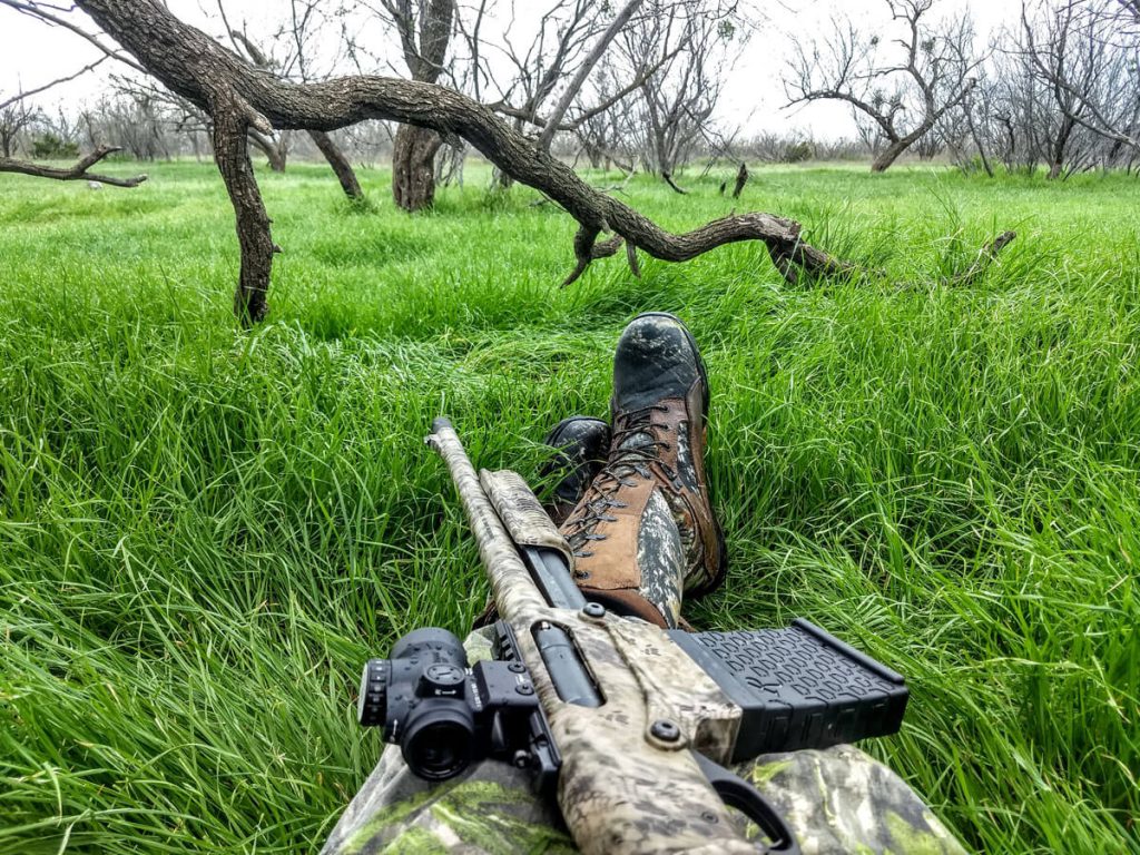 Jake Time: A Land Filled With Rio Grande Youngsters