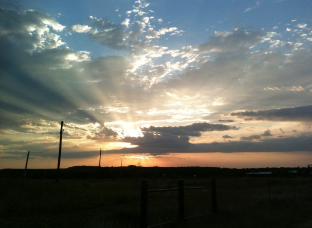 The Often Overlooked October Opportunity: 5 Tips for Late Season Dove