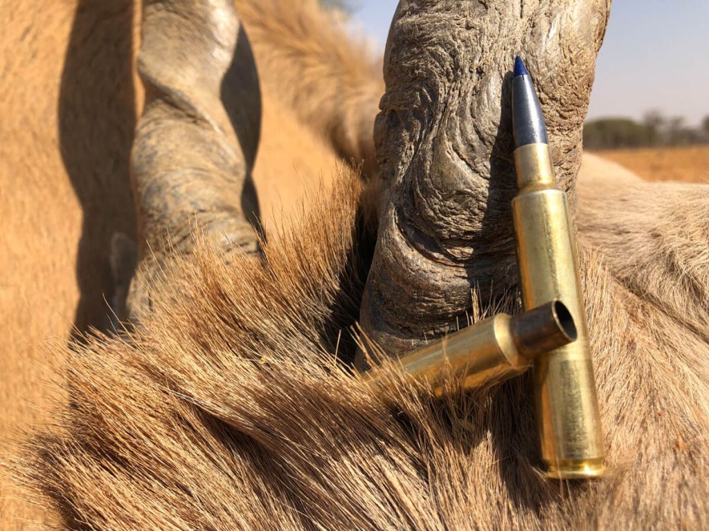 Take the Shot? A Mature Kudu Bull Offers A High-Speed Opportunity