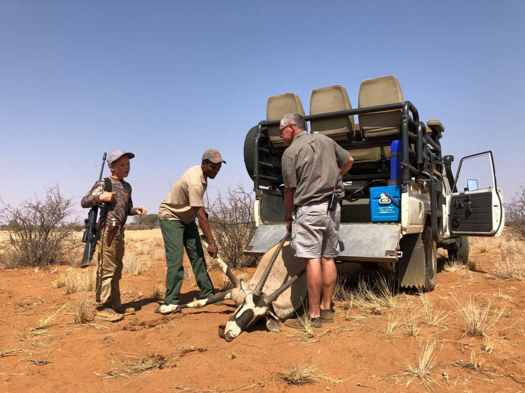 Take the Shot? A Mature Kudu Bull Offers A High-Speed Opportunity