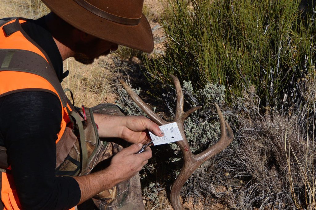 Take the Shot? The Author Gets a Surprise Shot at a Big Mule Deer. Full of Adrenaline, His Hands (and everything else) are Shaking. Should he Take the Shot?