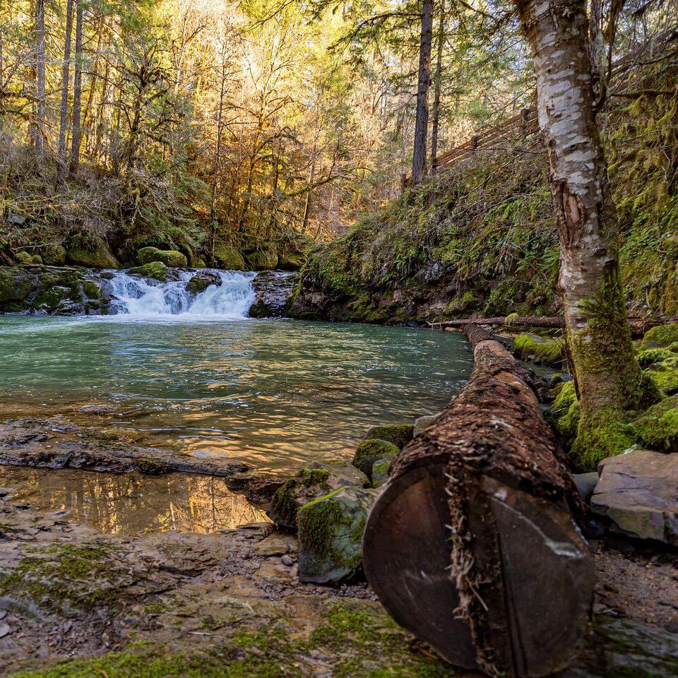 Trump and Officials Move to Expand Hunting and Fishing, Face Lawsuits