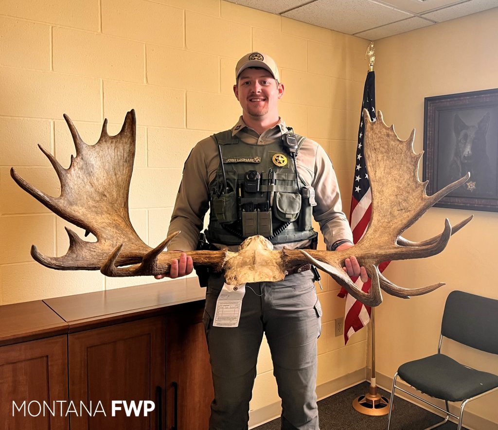 Montana Man Receives Lifetime Hunting Ban for Poaching Moose