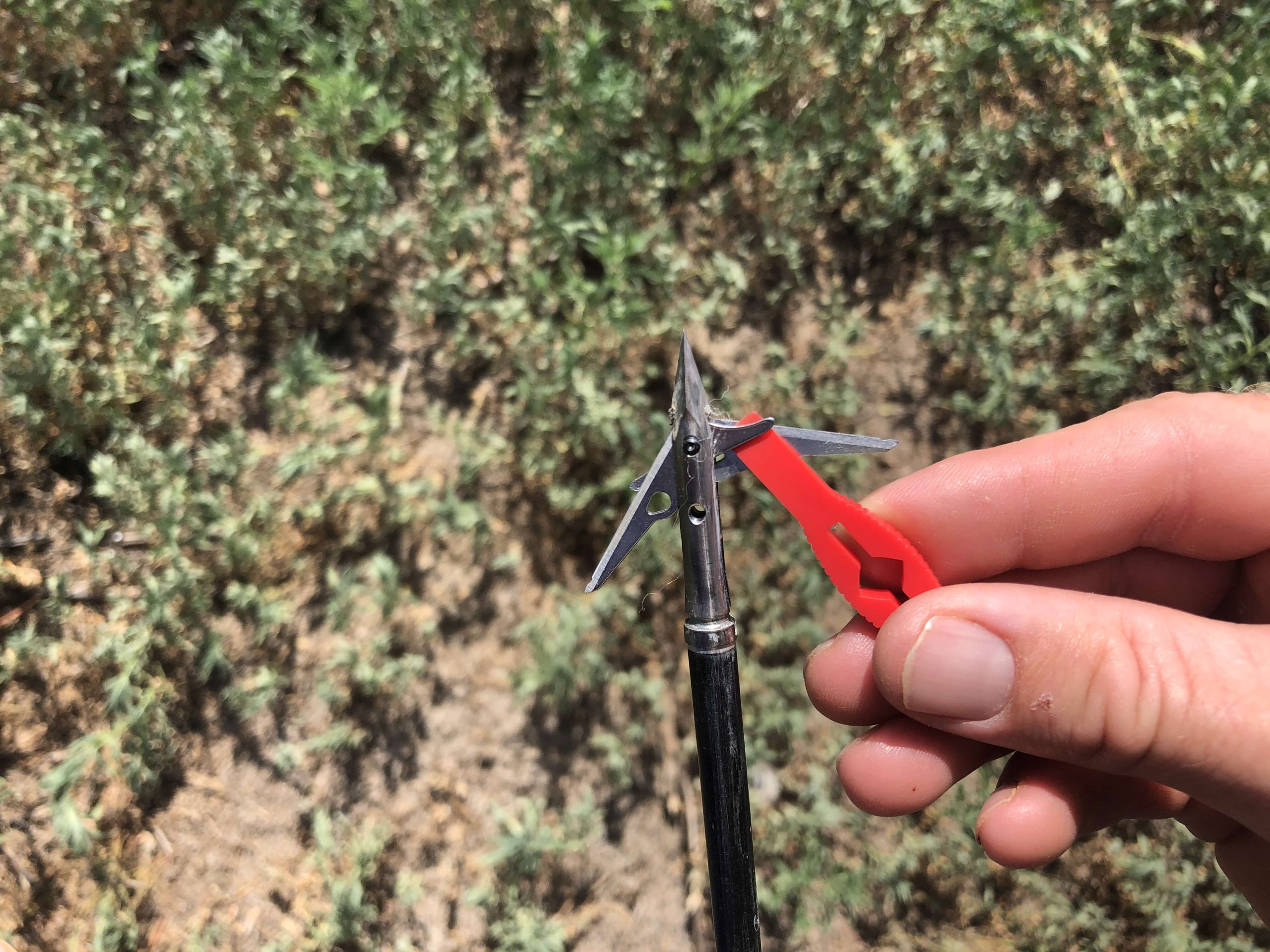 Field Test: SEVR 2.1 Titanium Broadhead