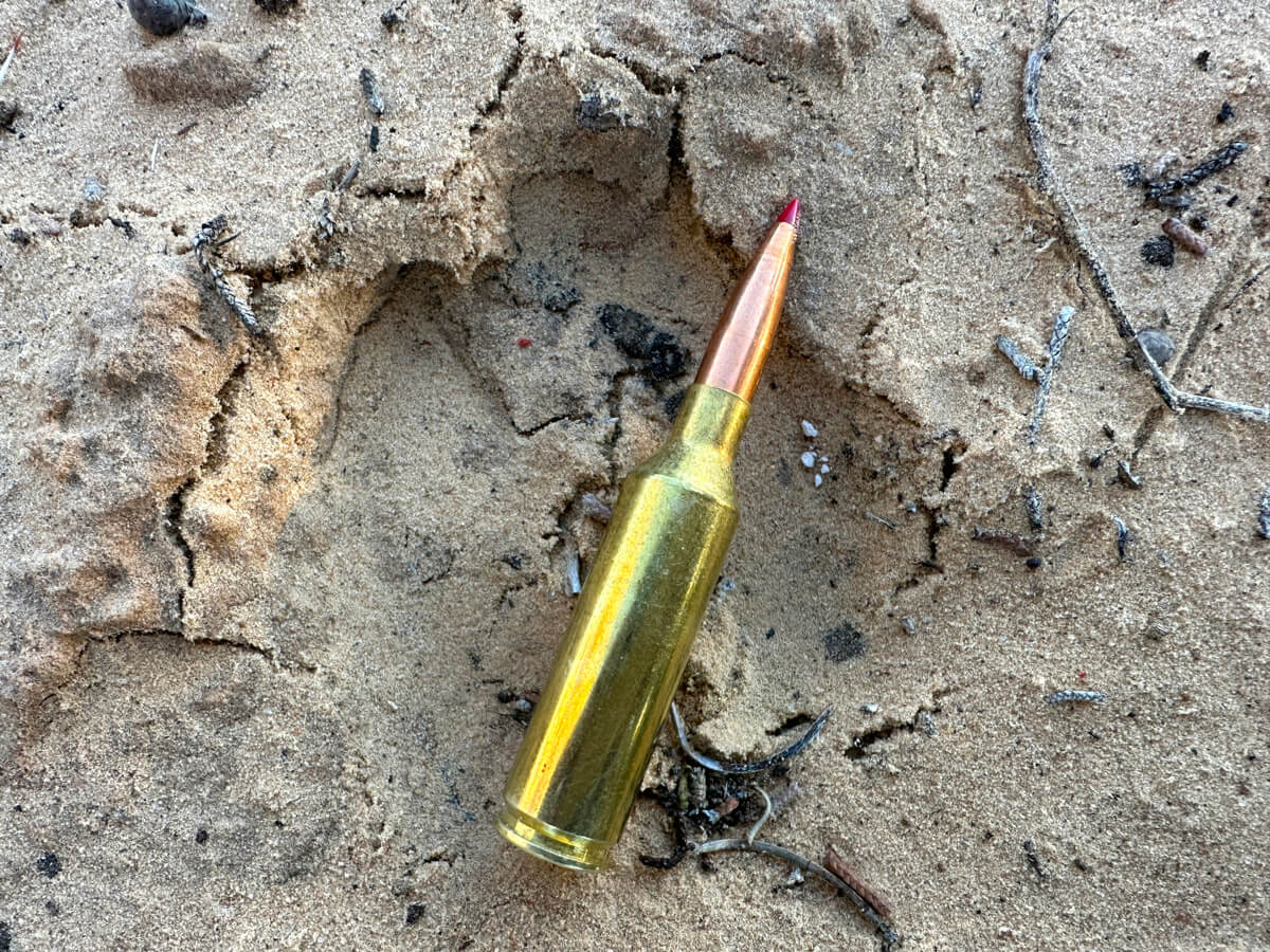 Hornady 143 Gr. Precision Hunter round atop buck track.