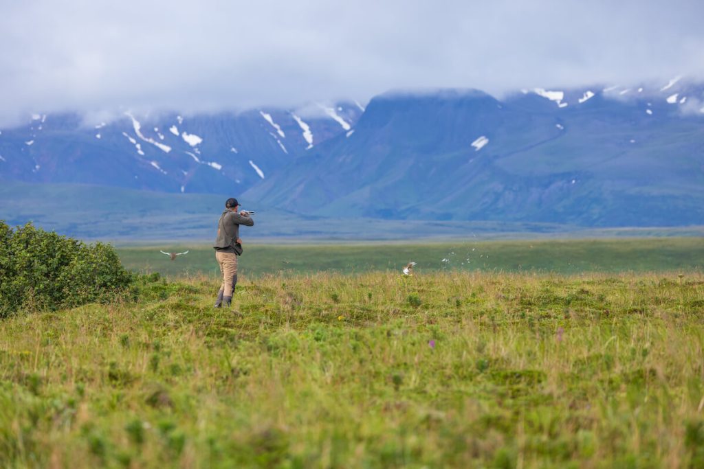 Shooting Birds with the mountains in the background