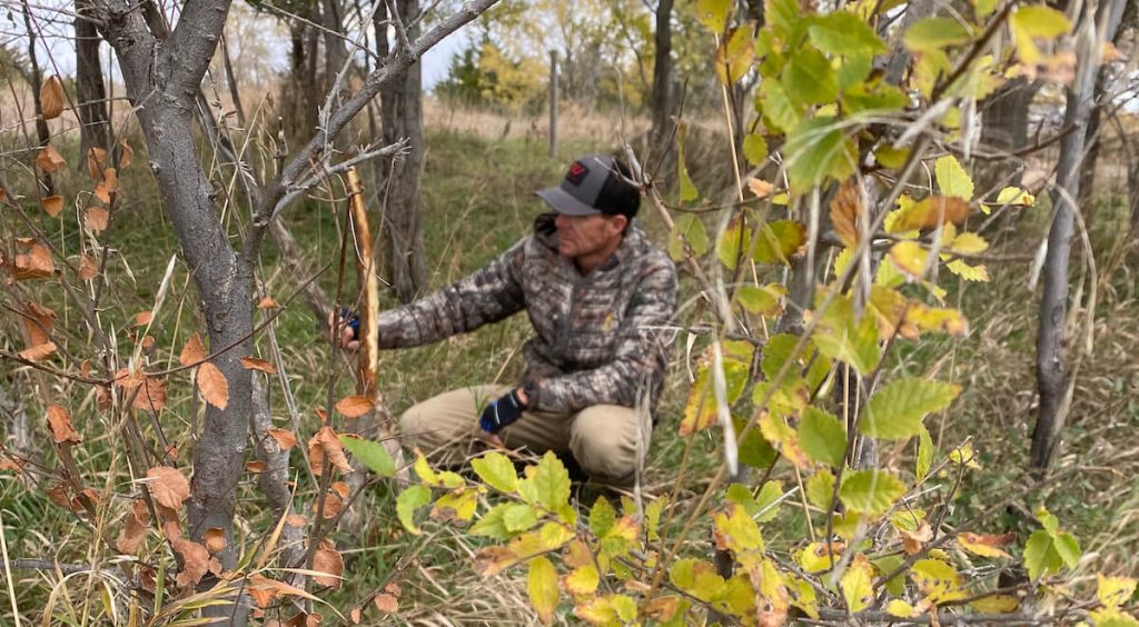 man observing woods autumn fall