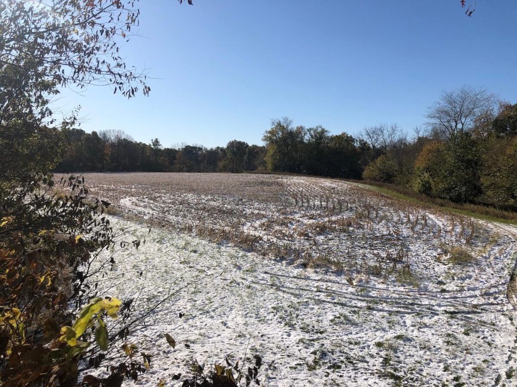 open meadow with snow in it