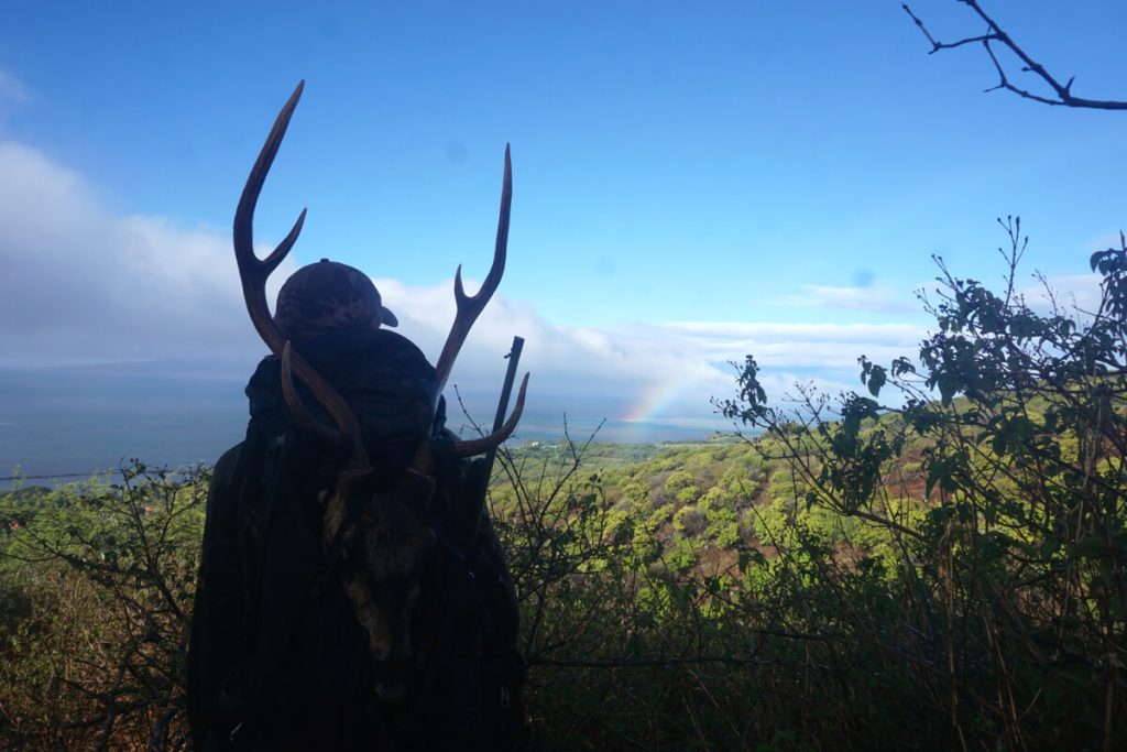 Josiah, packing meat and antlers off the mountain.