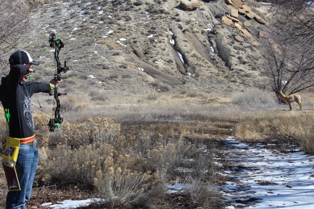 person shooting a bow at a dummy deer