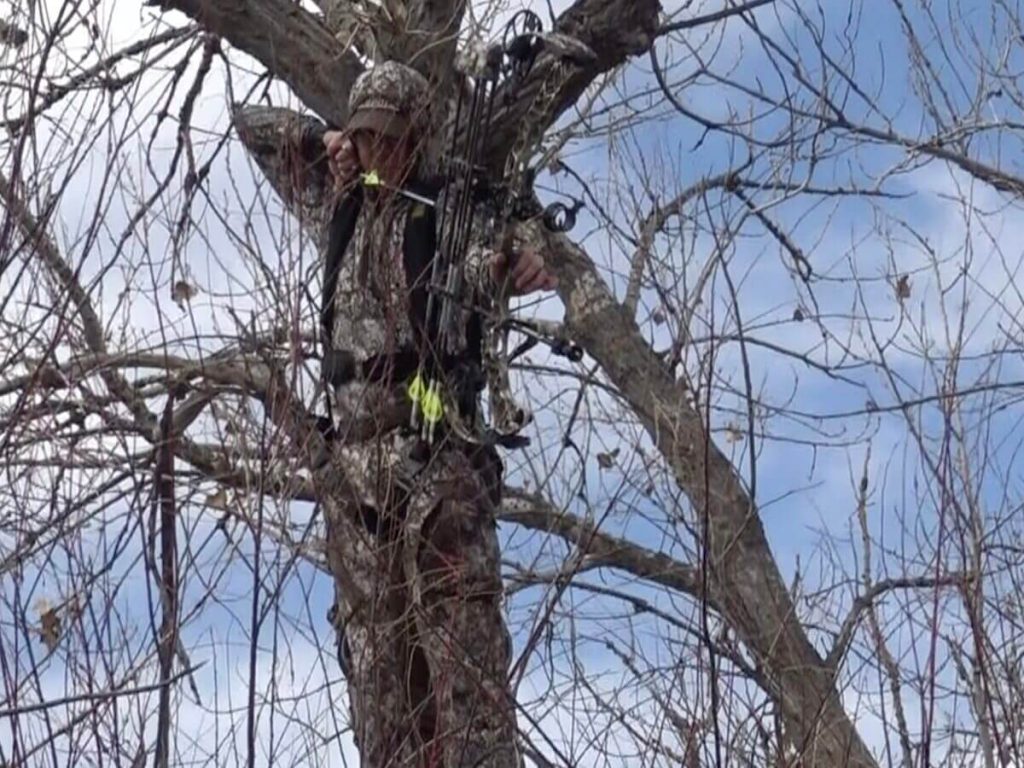 person in a tree during late season hunting