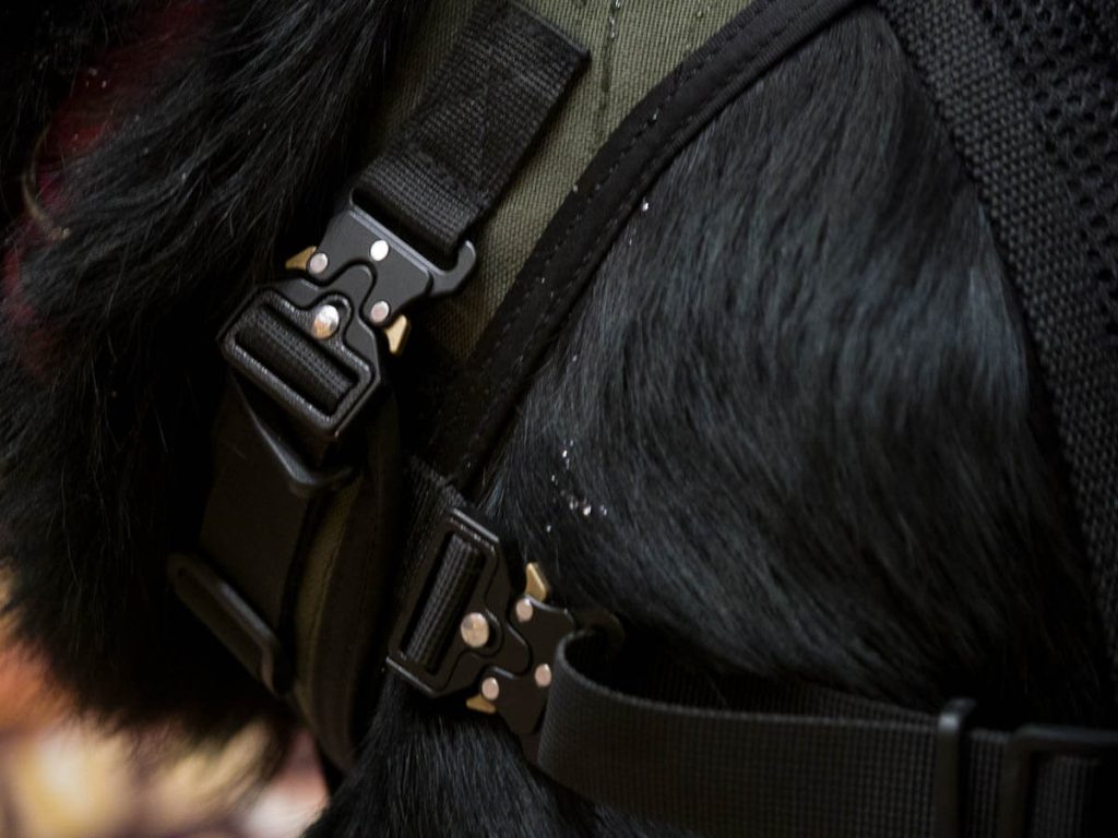 Close up of the Cobra buckles.